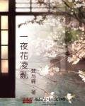 一夜花凌乱