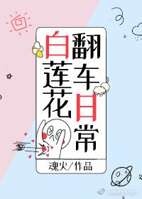 《白莲花翻车日常》