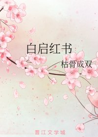 《白启红书》