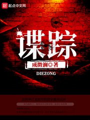 《谍踪》