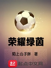 《荣耀绿茵》