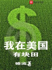 《我在美国有块田》