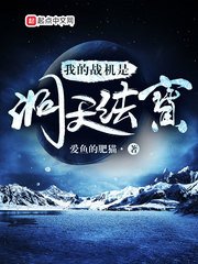 《我的战机是洞天法保》