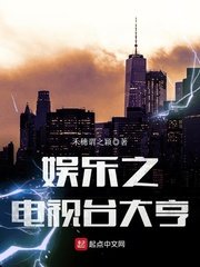 《娱乐之电视台大亨》