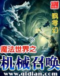 《魔法世界之机械召唤》