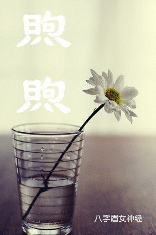 《煦煦》
