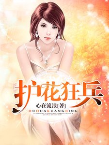 《护花狂兵》