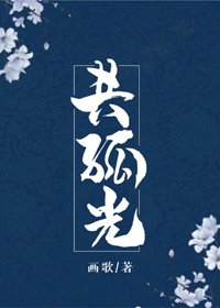 《共孤光》