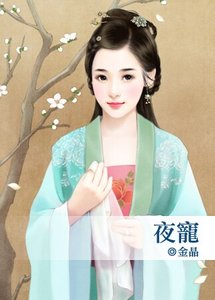 《夜宠》