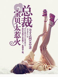 《总裁保贝太惹火》