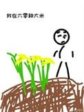 《我在六零种大米》