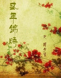 《盛年锦时》
