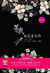 等我微笑着忘却（出书版）
