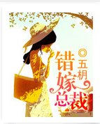 《错嫁总裁》
