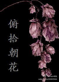 俯拾朝花