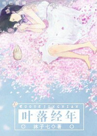 《叶落经年》