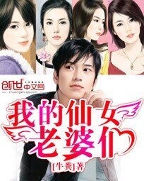 《我的仙女老婆们》