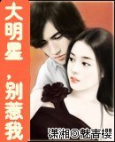 《大明星,别惹我》