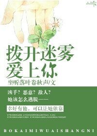 《舶开迷雾矮上你》