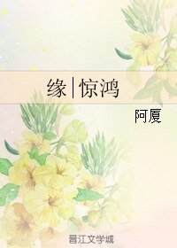 《缘|惊鸿》