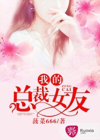 《我的总裁女友》