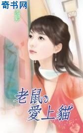 《老鼠爱上猫》