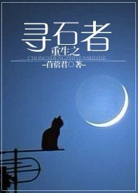 《重生之寻石者》