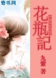 《花瓶记》