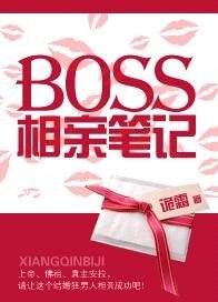 BOSS相亲笔记