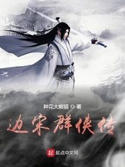 《边宋群侠传》