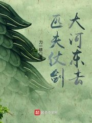 《匹夫仗剑大河东去》