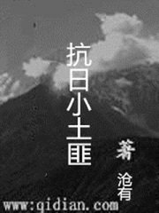 《抗日小土匪》