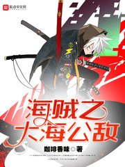 《海贼之大海公敌》
