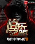 《伯乐之眼》