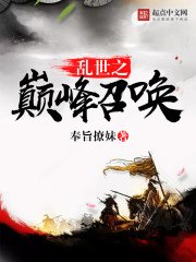 《乱世之巅峰召唤》