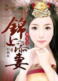 《重生之锦上添妻》