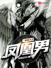 《一拳之凤凰男》
