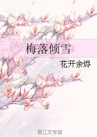 梅落倾雪