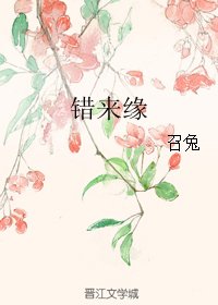 《错来缘》