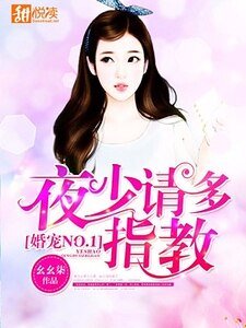 《婚宠NO.1:夜少请多指教》