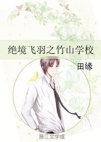 《绝境飞羽之竹山学校》