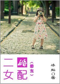 《二婚女配(婚宠)》