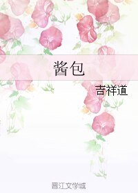 酱包