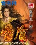 圣盾