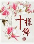 十样锦