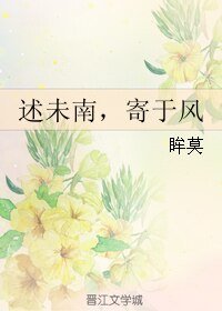 《述未南,寄于风》