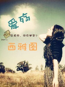 爱殇西雅图
