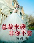 《总裁来袭,非你不娶》