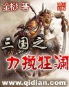 《三国之利挽狂澜》