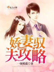 《娇妻驭夫攻略》